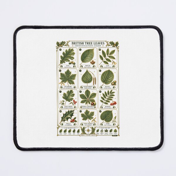 Item preview, British Tree Leaves Chart | Woodland Leaf Identification Art | Nature Study Naturalist Gift designed and sold by Brackenlume Studio.