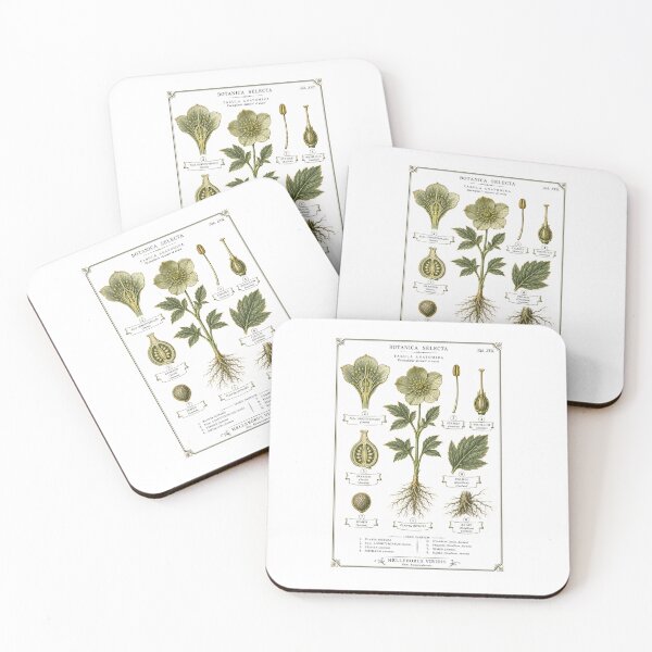 Item preview, Botanical Dissection Plate | Dark Academia Plant Anatomy Art | Botany Student Gift designed and sold by Brackenlume Studio.