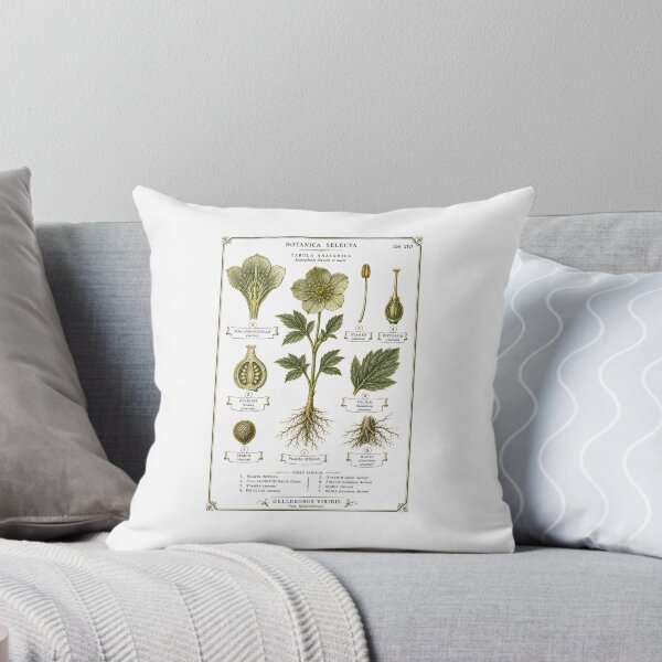 Item preview, Botanical Dissection Plate | Dark Academia Plant Anatomy Art | Botany Student Gift designed and sold by Brackenlume Studio.