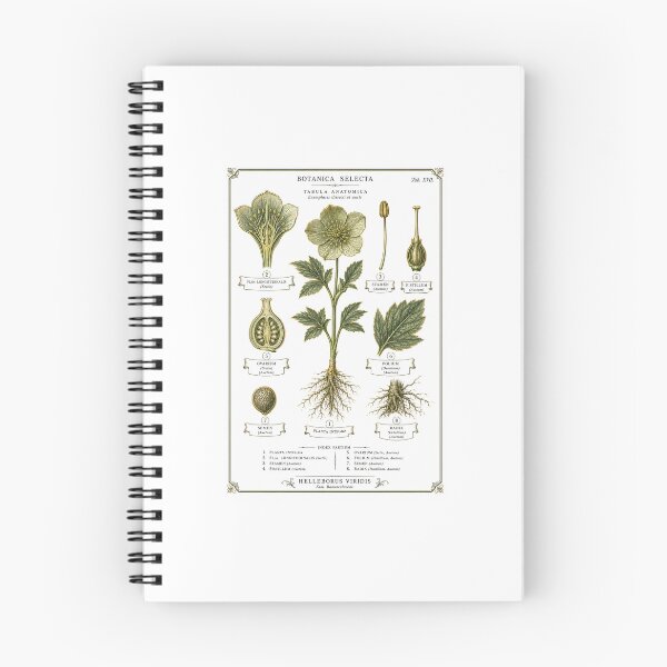 Item preview, Botanical Dissection Plate | Dark Academia Plant Anatomy Art | Botany Student Gift designed and sold by Brackenlume Studio.