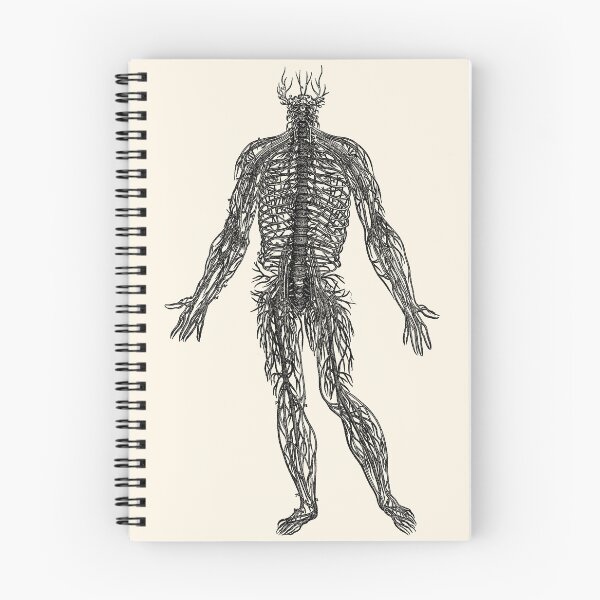 Item preview, Arrangement of the Spinal Nerves, Vesalius, 1543 (BLACK) designed and sold by Exhumed Archives.