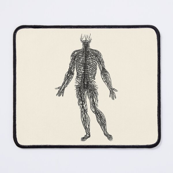 Item preview, Arrangement of the Spinal Nerves, Vesalius, 1543 (BLACK) designed and sold by Exhumed Archives.