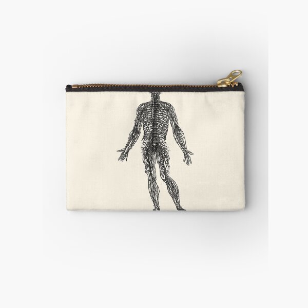 Item preview, Arrangement of the Spinal Nerves, Vesalius, 1543 (BLACK) designed and sold by Exhumed Archives.