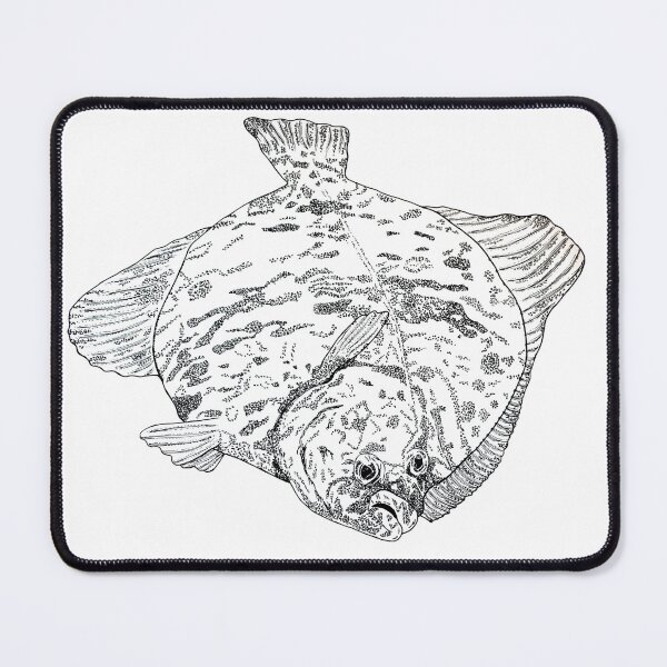 Item preview, Flounder Hand-Drawn Fish Art – Spearfishing and Diving - no AI designed and sold by schandorffdk.