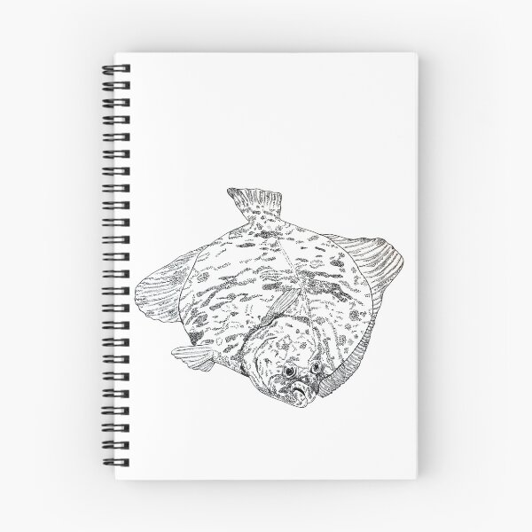 Item preview, Flounder Hand-Drawn Fish Art – Spearfishing and Diving - no AI designed and sold by schandorffdk.