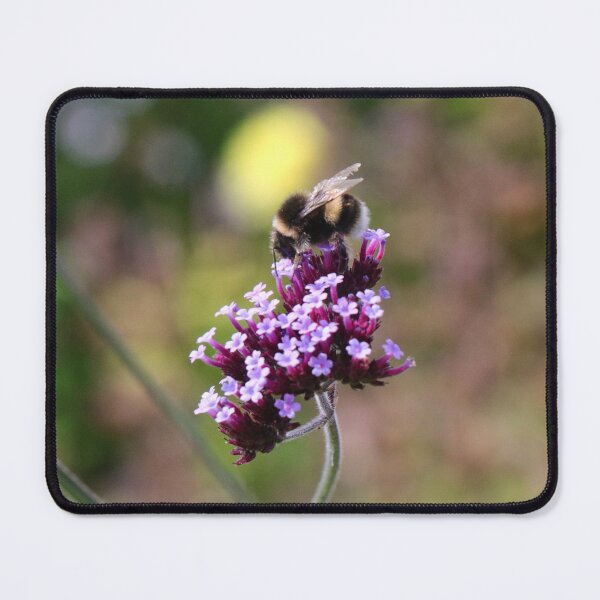 Item preview, Bee on Flower designed and sold by Thistle Images.