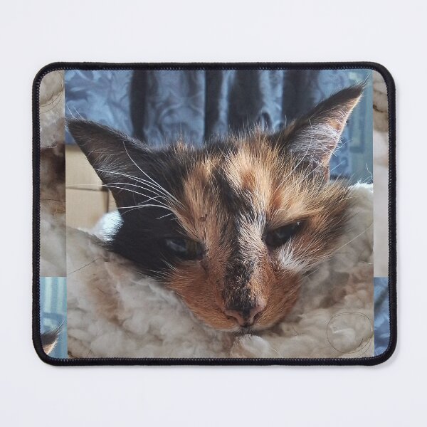 Item preview, Sleepy Calico designed and sold by ZenythCatt.