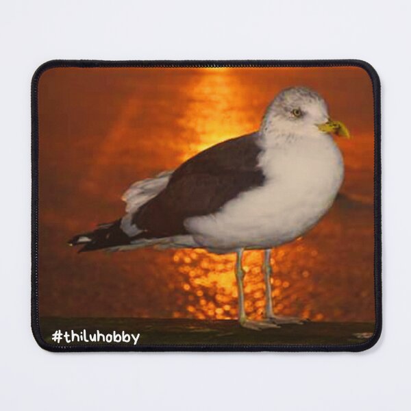 Item preview, Seagull at sunset designed and sold by thilu-hobby.