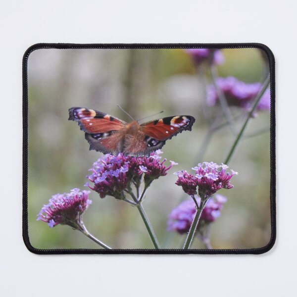 Item preview, Butterfly designed and sold by Thistle Images.