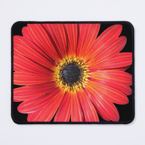 Item preview, RED DAISY FLOWER designed and sold by BIGPIX91011.