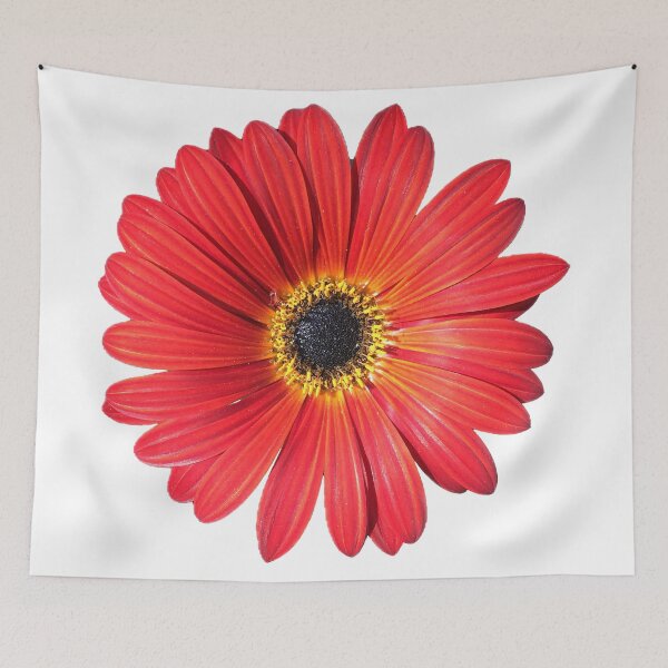 Item preview, RED DAISY FLOWER designed and sold by BIGPIX91011.