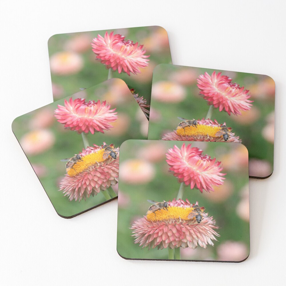 Item preview, Coasters (Set of 4) designed and sold by thistle.