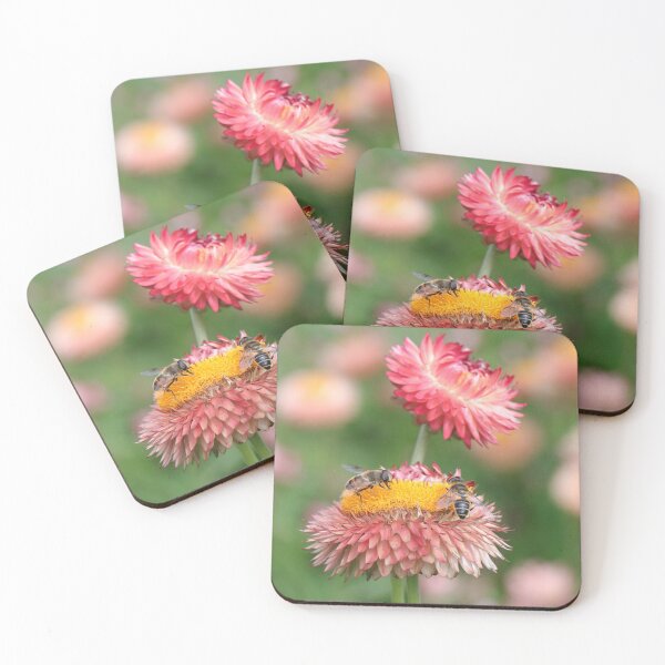 Item preview, Pollen Collection designed and sold by Thistle Images.