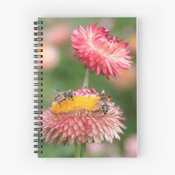 Item preview, Pollen Collection designed and sold by Thistle Images.
