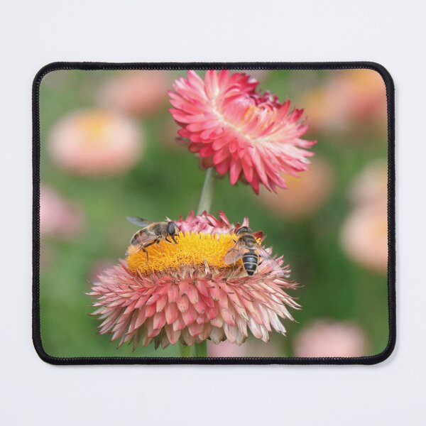 Item preview, Pollen Collection designed and sold by Thistle Images.