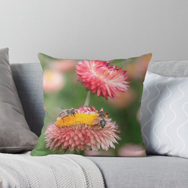Item preview, Pollen Collection designed and sold by Thistle Images.