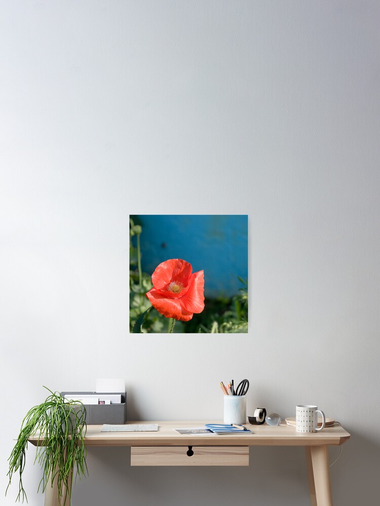 Thumbnail 2 of 3, Poster, poppy designed and sold by hellsbell.