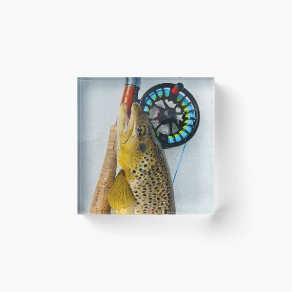 Item preview, Brown Trout and Reel designed and sold by technopenguin.