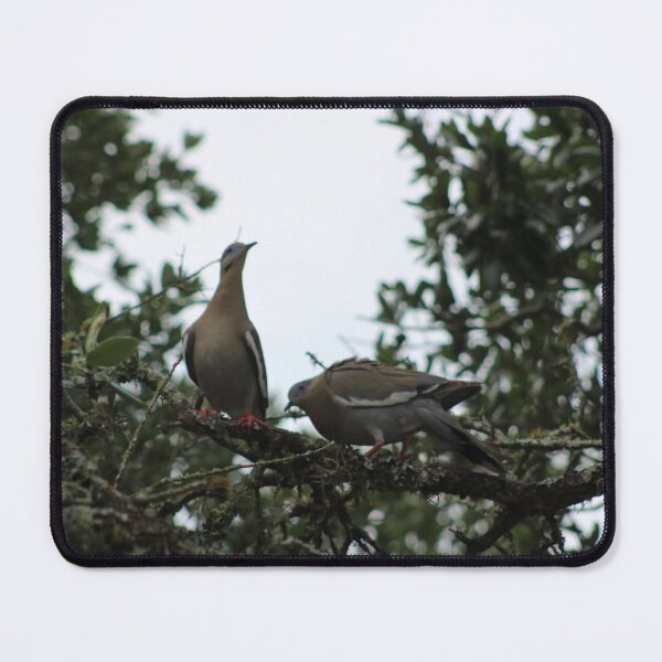 Item preview, 2 Birds Sitting In A Tree designed and sold by RobinsArtGarden.
