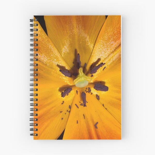 Item preview, Golden Pistil and Stamens designed and sold by TaisiasCaptures.