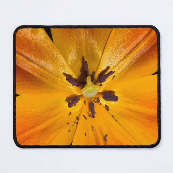Item preview, Golden Pistil and Stamens designed and sold by TaisiasCaptures.