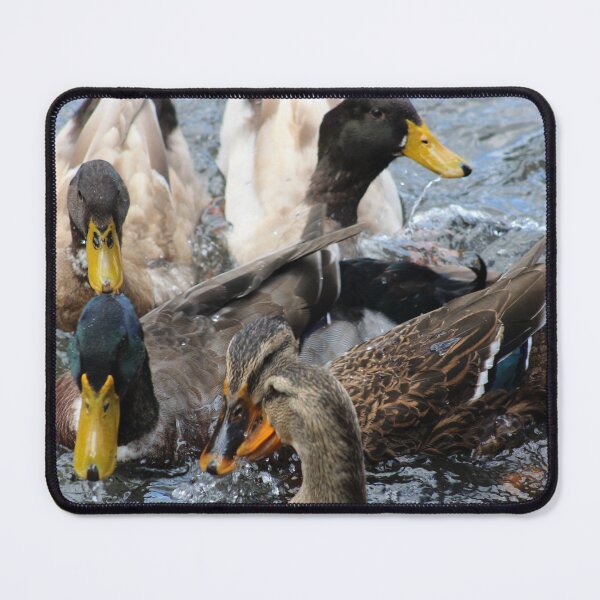 Item preview, DUCKS!! designed and sold by RobinsArtGarden.