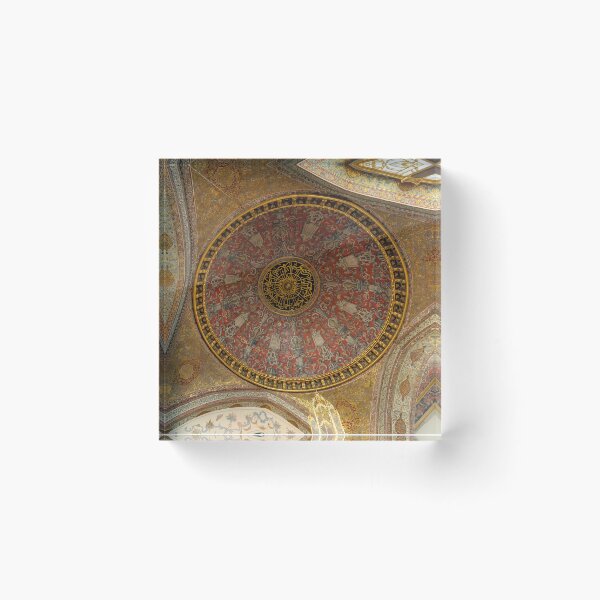 Item preview, Ornate Historic Dome Ceiling designed and sold by SafariByMarisa.