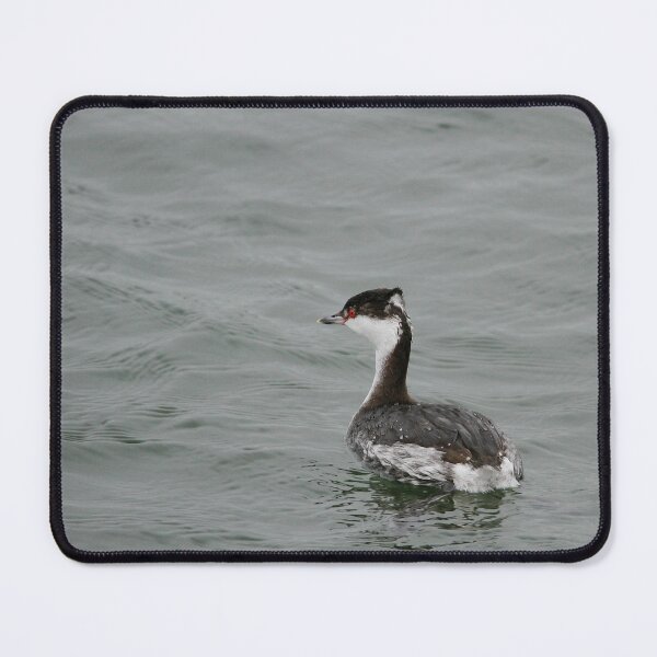 Item preview, Slavonian punk grebe! designed and sold by miradorpictures.