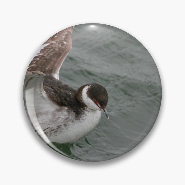 Item preview, In a flap designed and sold by miradorpictures.