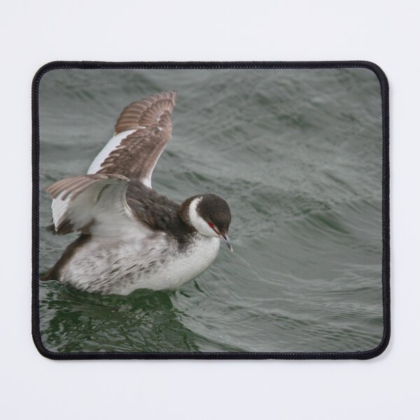 Item preview, In a flap designed and sold by miradorpictures.