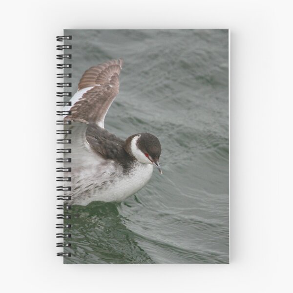 Item preview, In a flap designed and sold by miradorpictures.