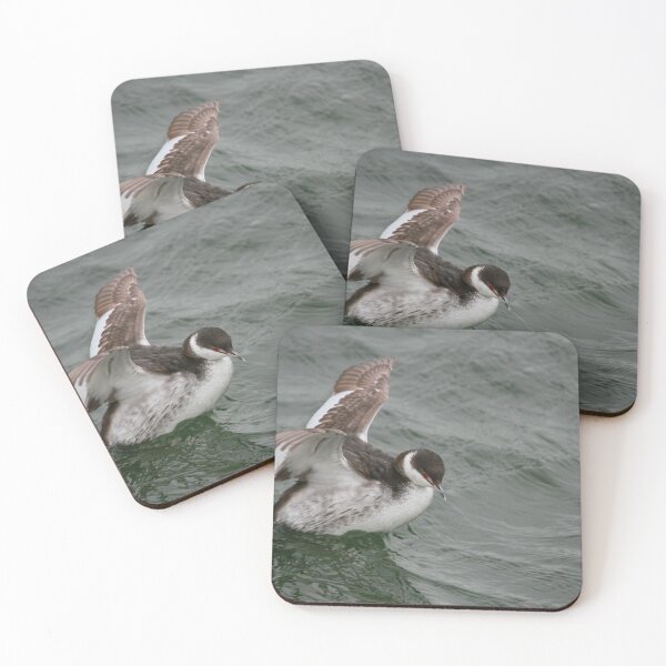 Item preview, In a flap designed and sold by miradorpictures.