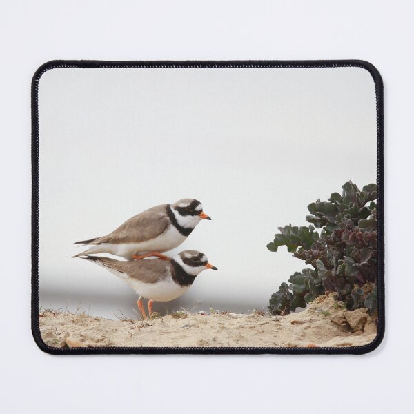 Item preview, Plucky Plovers designed and sold by miradorpictures.