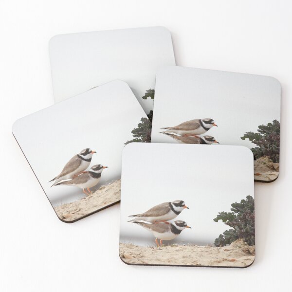 Item preview, Plucky Plovers designed and sold by miradorpictures.
