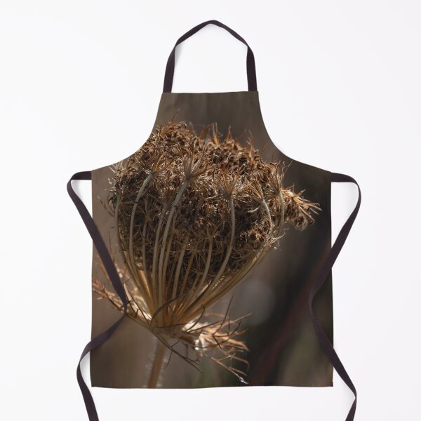 Item preview, Isolated dried wild carrot head with square crop designed and sold by lisavonbiela.