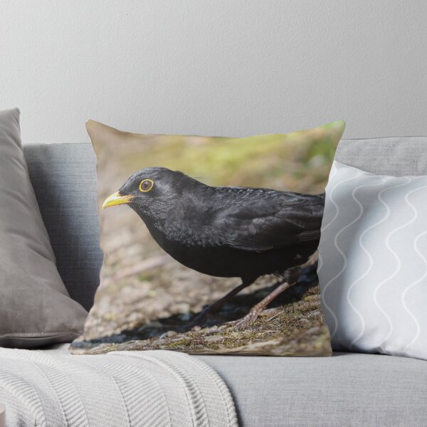 Item preview, Summer blackbird designed and sold by GreyFeatherPhot.