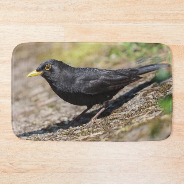 Item preview, Summer blackbird designed and sold by GreyFeatherPhot.