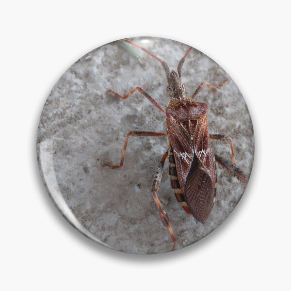 Item preview, Close-up of Western Conifer Seed Bug designed and sold by lisavonbiela.