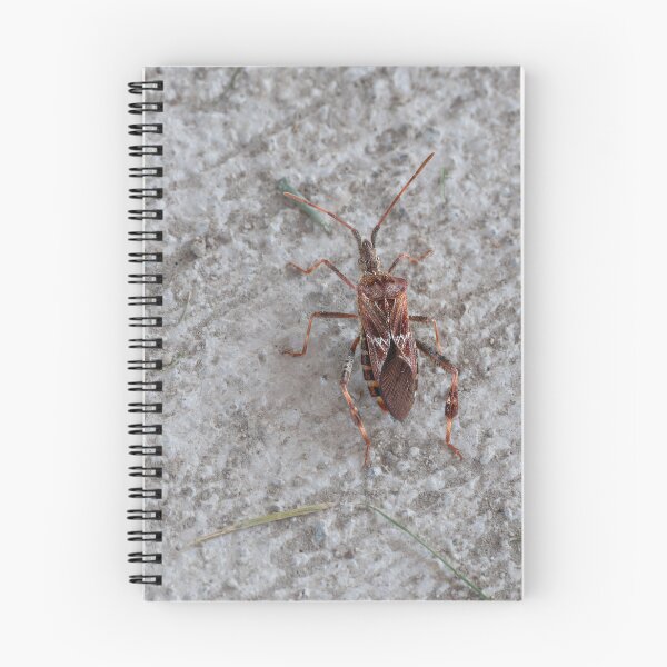 Item preview, Close-up of Western Conifer Seed Bug designed and sold by lisavonbiela.