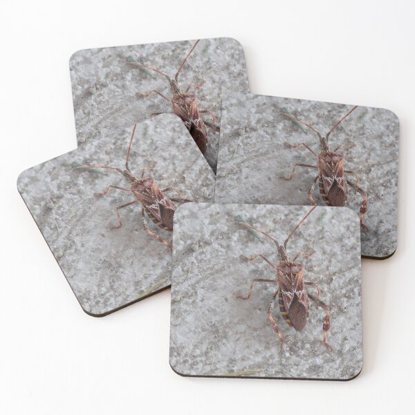 Item preview, Close-up of Western Conifer Seed Bug designed and sold by lisavonbiela.