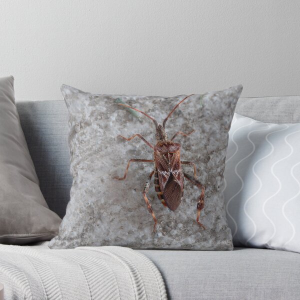 Item preview, Close-up of Western Conifer Seed Bug designed and sold by lisavonbiela.
