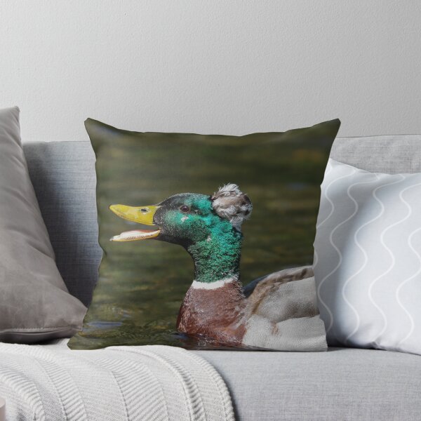 Item preview, Mallard x crested duck hybrid designed and sold by GreyFeatherPhot.