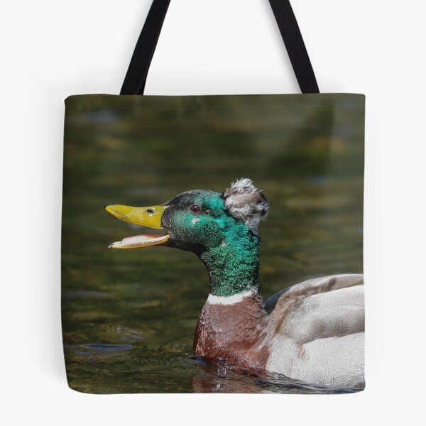 Item preview, Mallard x crested duck hybrid designed and sold by GreyFeatherPhot.