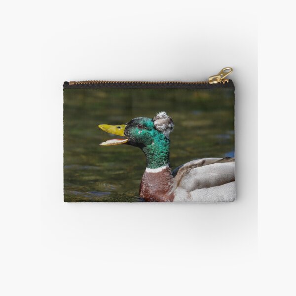 Item preview, Mallard x crested duck hybrid designed and sold by GreyFeatherPhot.