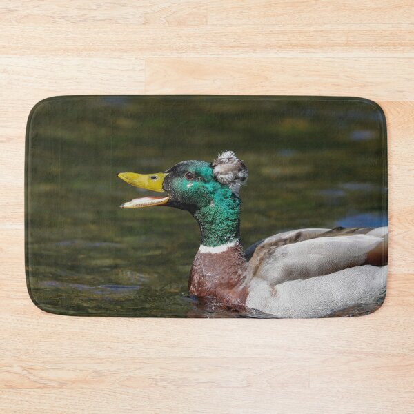 Item preview, Mallard x crested duck hybrid designed and sold by GreyFeatherPhot.