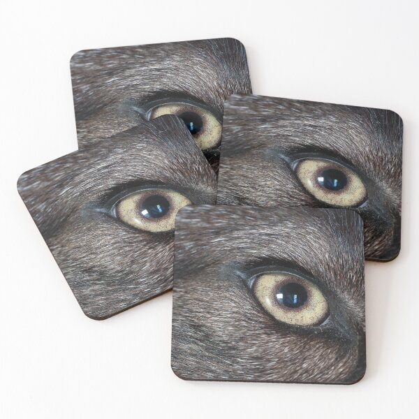Item preview, Close-up of taxidermed wolf eye designed and sold by lisavonbiela.