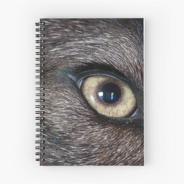 Item preview, Close-up of taxidermed wolf eye designed and sold by lisavonbiela.