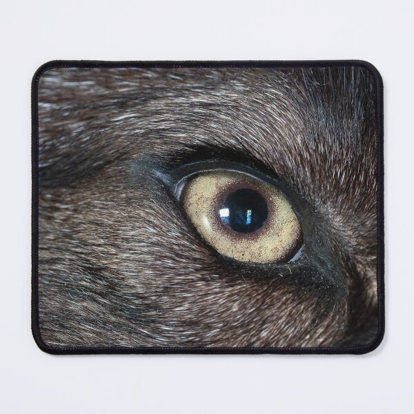 Item preview, Close-up of taxidermed wolf eye designed and sold by lisavonbiela.
