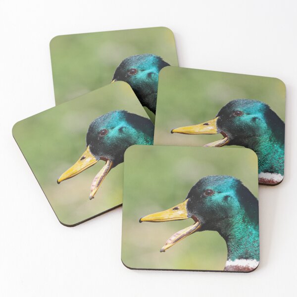 Item preview, Quacking mallard drake designed and sold by GreyFeatherPhot.