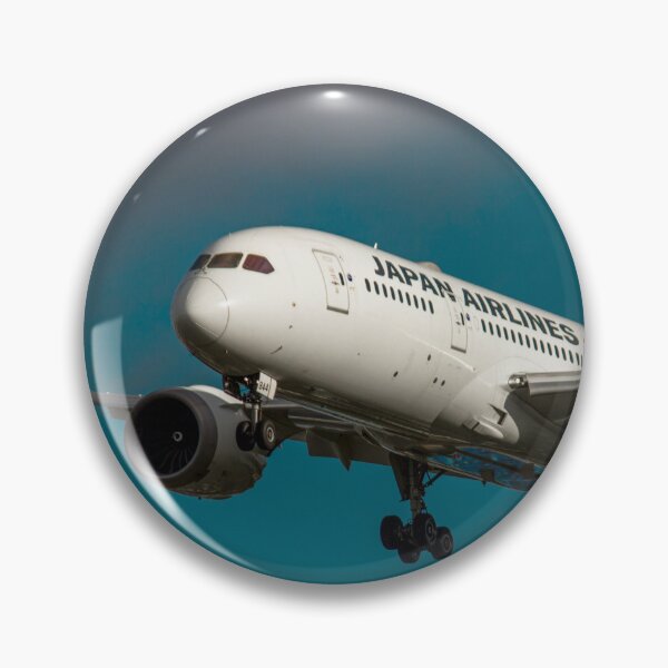 Aperçu de l'œuvre Japan Airlines B787 créée et vendue par robertbiraus.